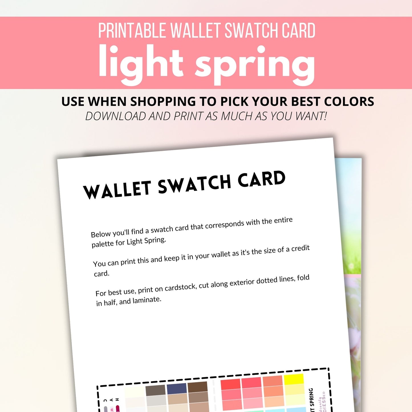 Light Spring Color Guide