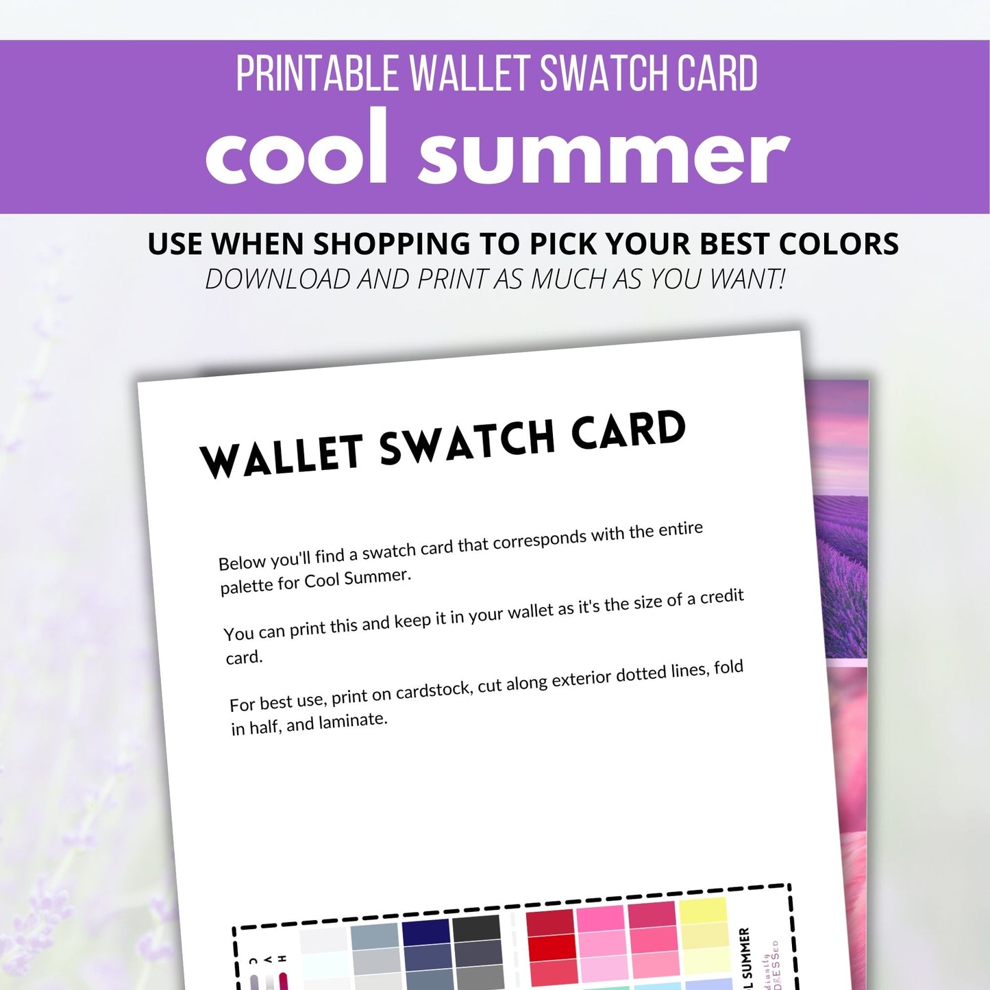 Cool Summer Color Guide