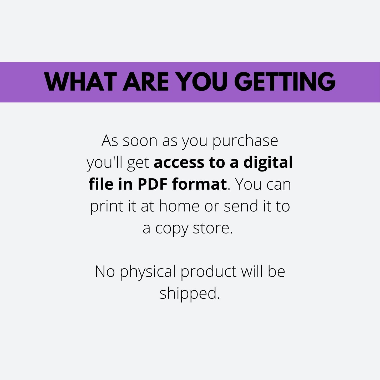 Cool Summer Color Guide