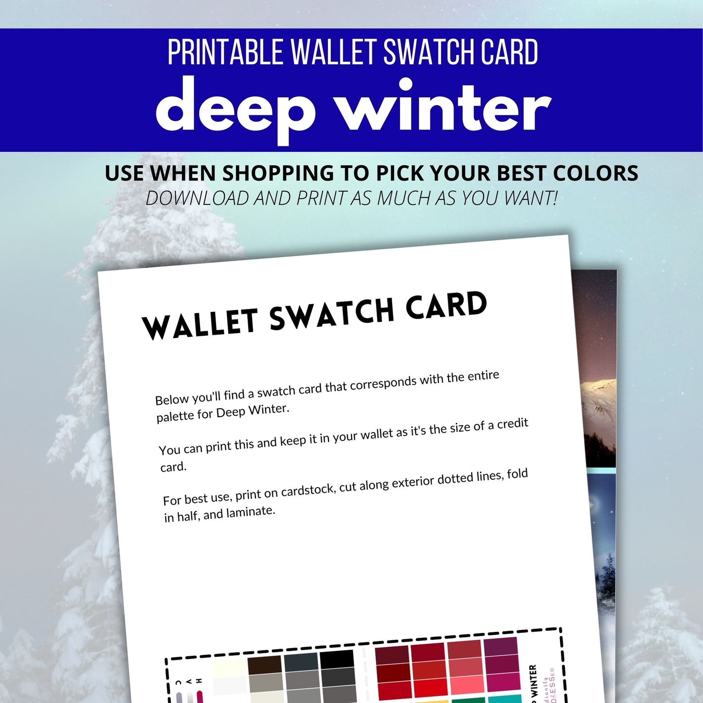 Deep Winter Color Guide