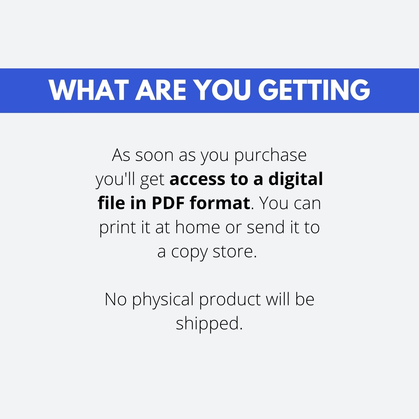 Cool Winter Color Guide