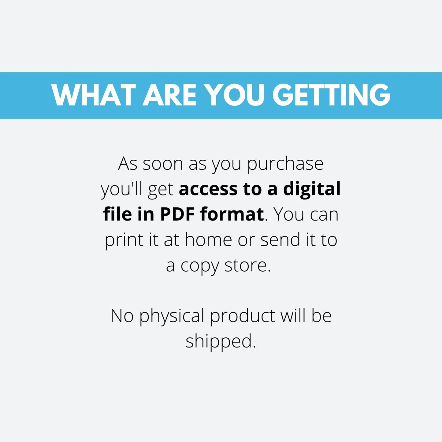 Clear Winter Color Guide