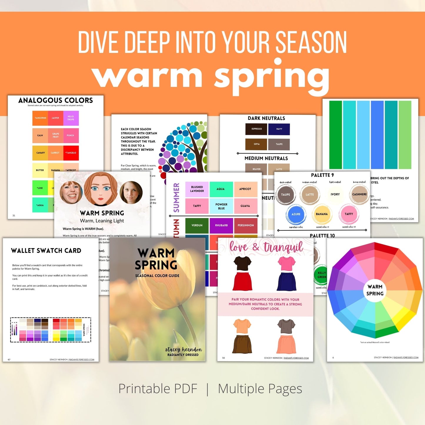Warm Spring Color Guide